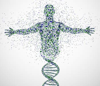 col-img350x302_103017107 Wishing for a better life of
less or more enjoyable work? Quantum Growth is focused on your goals and risk tollerances.